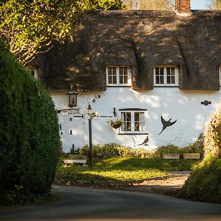 Hotel Brace Of Pheasants Alton Pancras Exterior foto