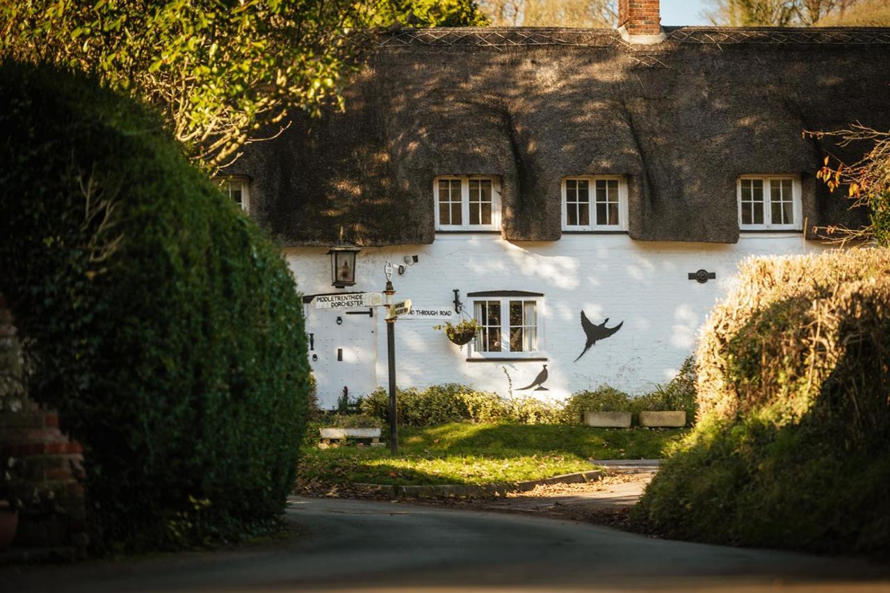 Hotel Brace Of Pheasants Alton Pancras Exterior foto